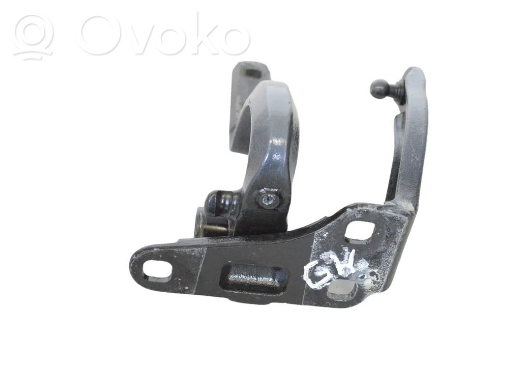 Rear door lower hinge