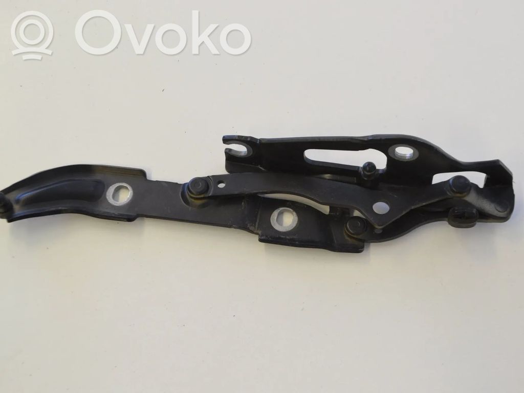 Tailgate/trunk/boot hinge