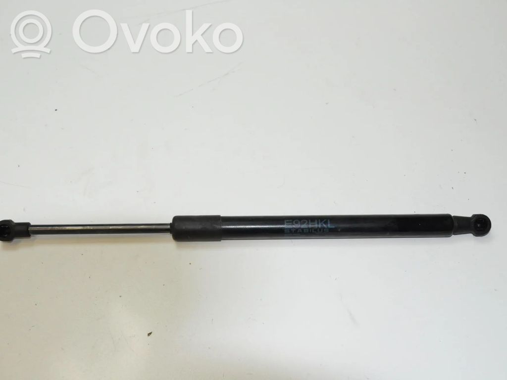 Tailgate/trunk strut/damper   51247129194