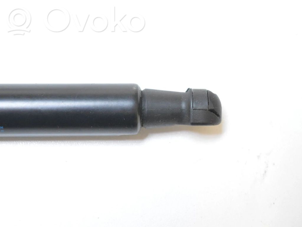 Tailgate/trunk strut/damper   7191255