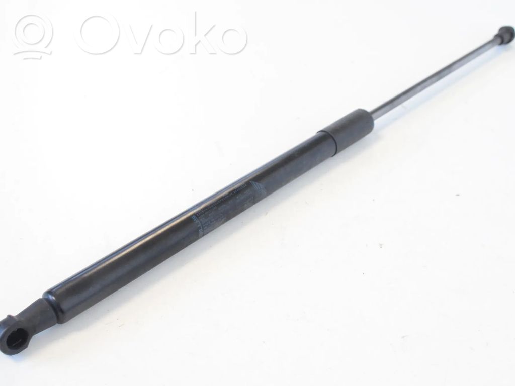 Tailgate/trunk strut/damper   9808987