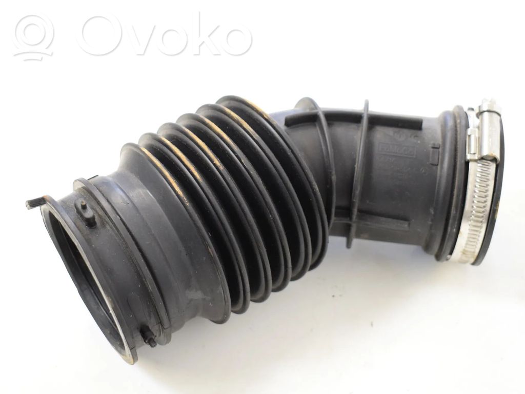 Ford Ecosport Šļūtene (-es) / caurule (-es) 