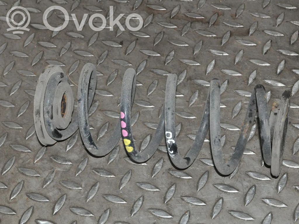 Rear coil spring