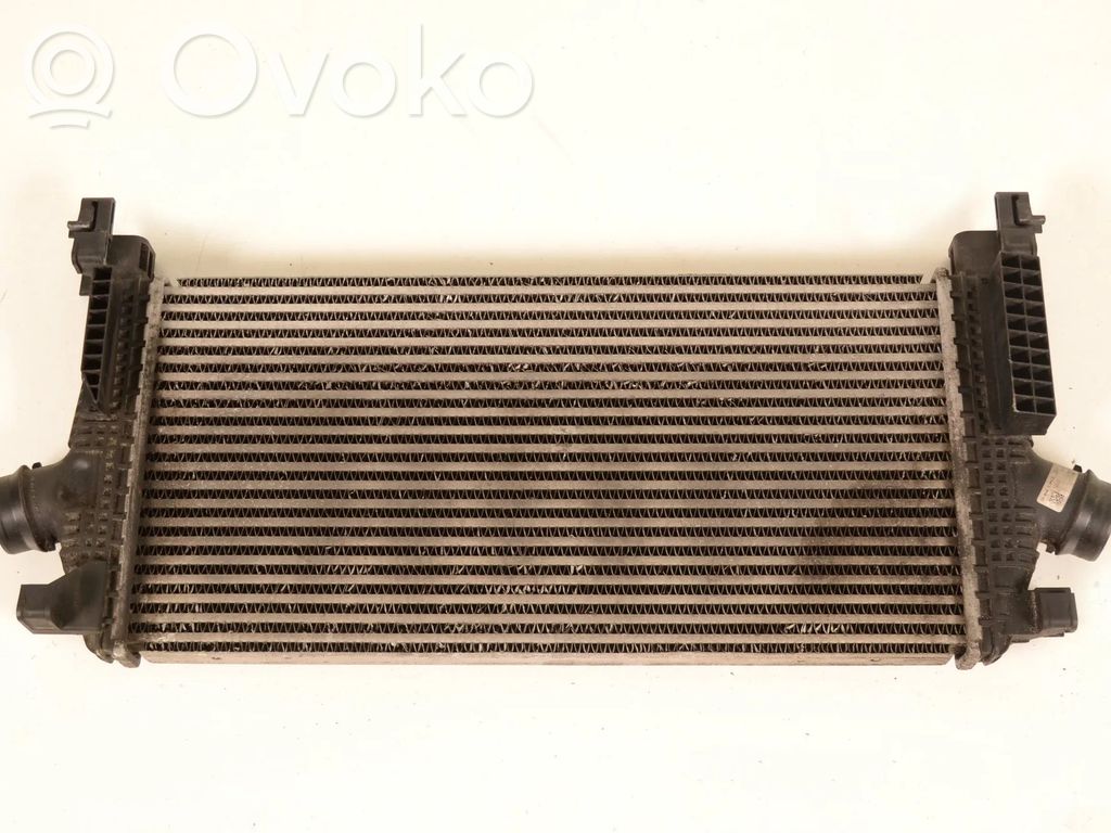 Interkūlerio radiatorius   13267646