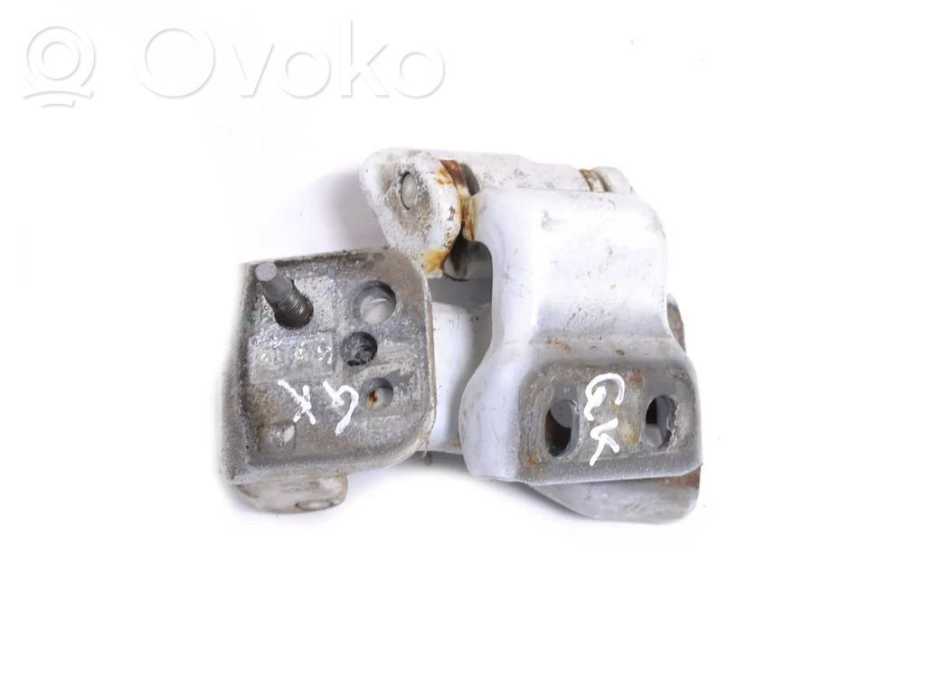 Rear door lower hinge