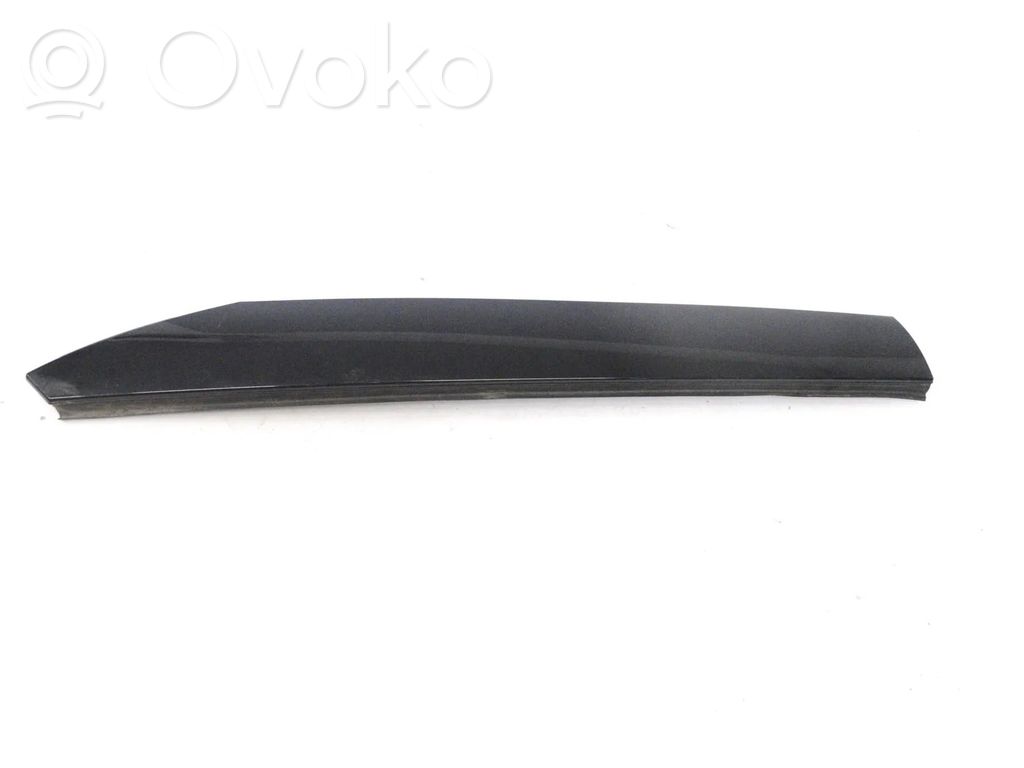 Windshield trim   7197820