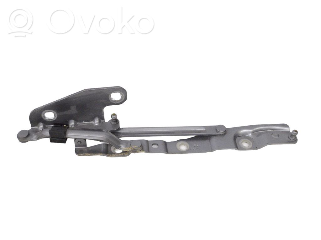 Jaguar XJ X350 Cerniera portellone posteriore/bagagliaio 