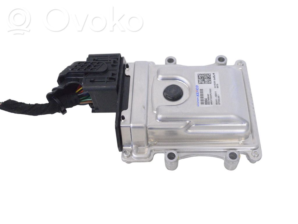 KIA Sorento Engine control unit/module 