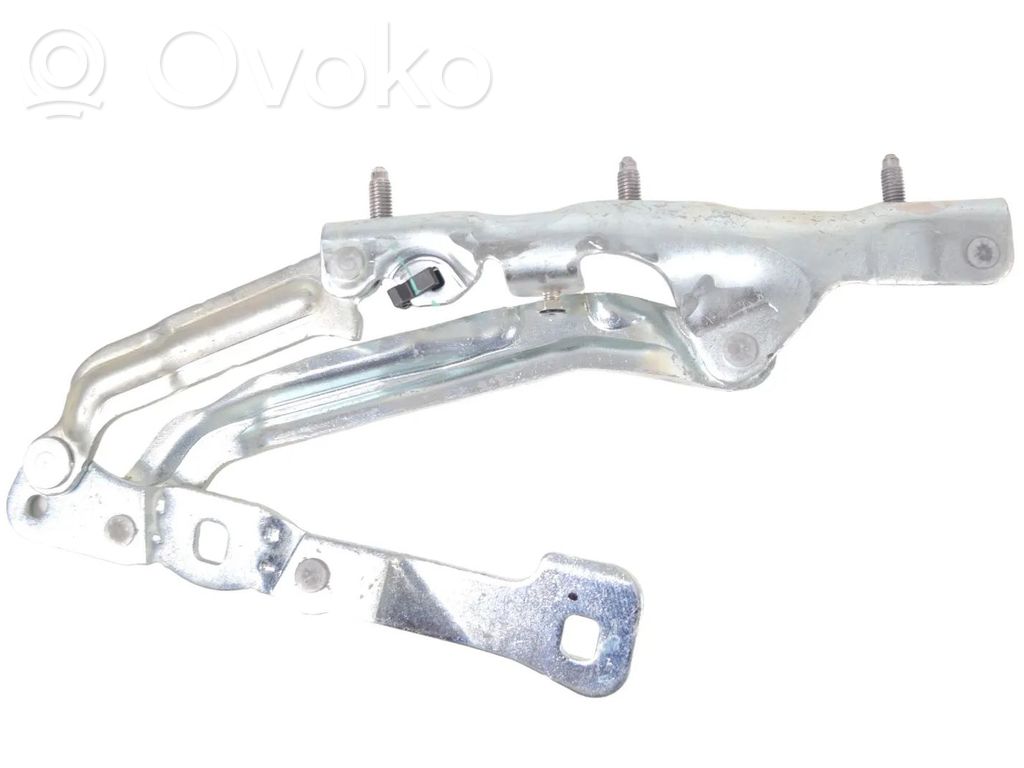 Tesla Model 3 Tailgate/trunk/boot hinge 