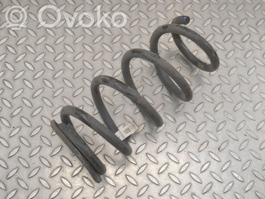 Tesla Model 3 Rear coil spring 