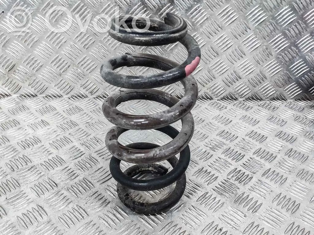 Muelle espiral trasero