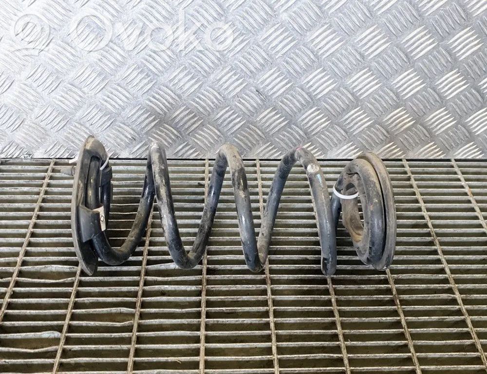 Tesla Model 3 Rear coil spring 