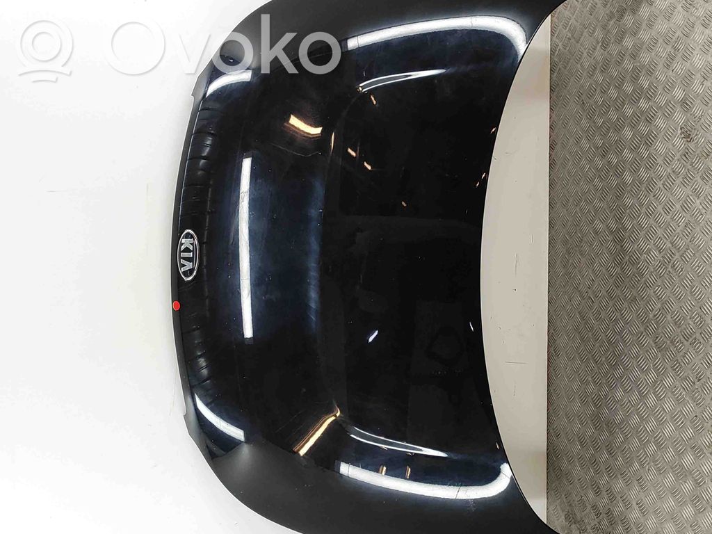 Motorhaube   66400E4000
