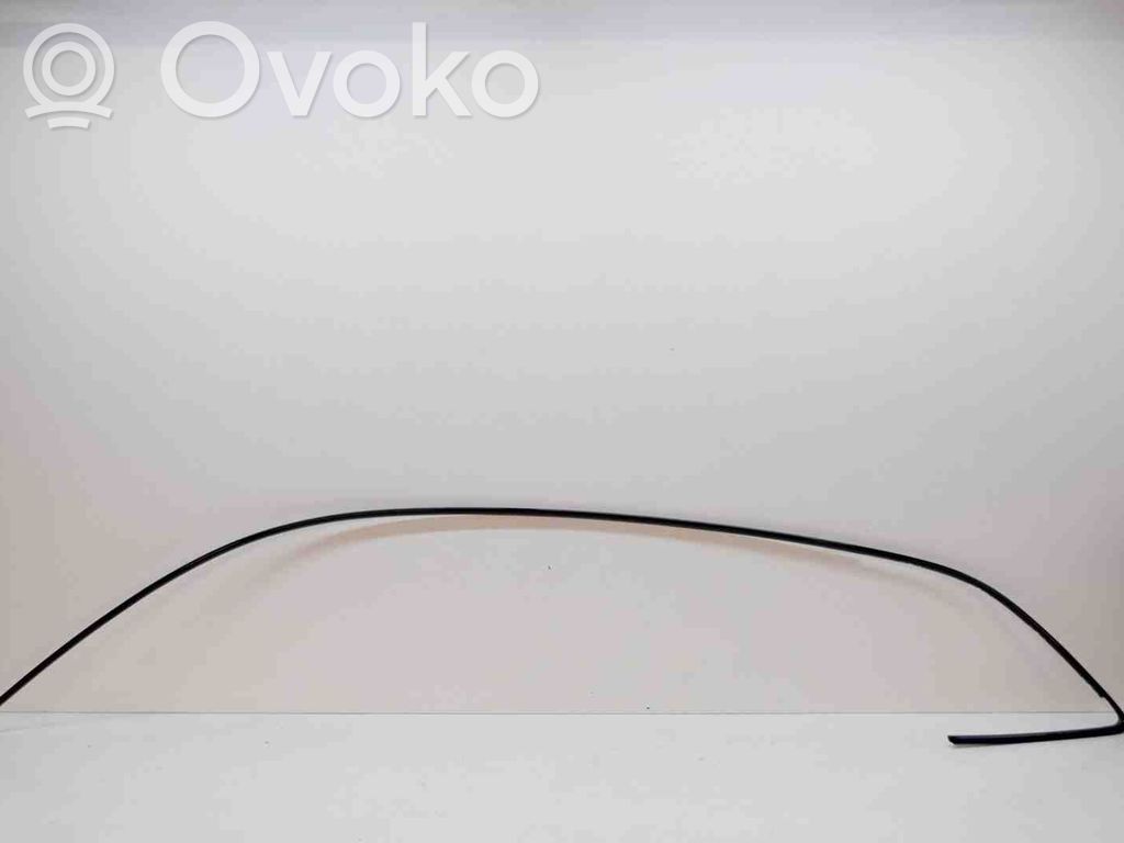 Audi Q5 SQ5 8R Listwa dachowa 