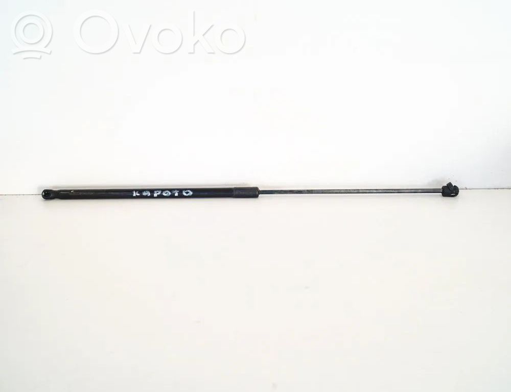 Opel Insignia A Ammortizzatore portellone anteriore/cofano