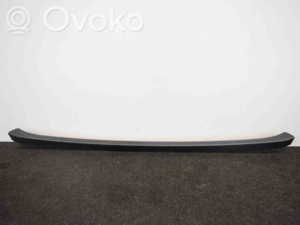 Tailgate trim   100923600H