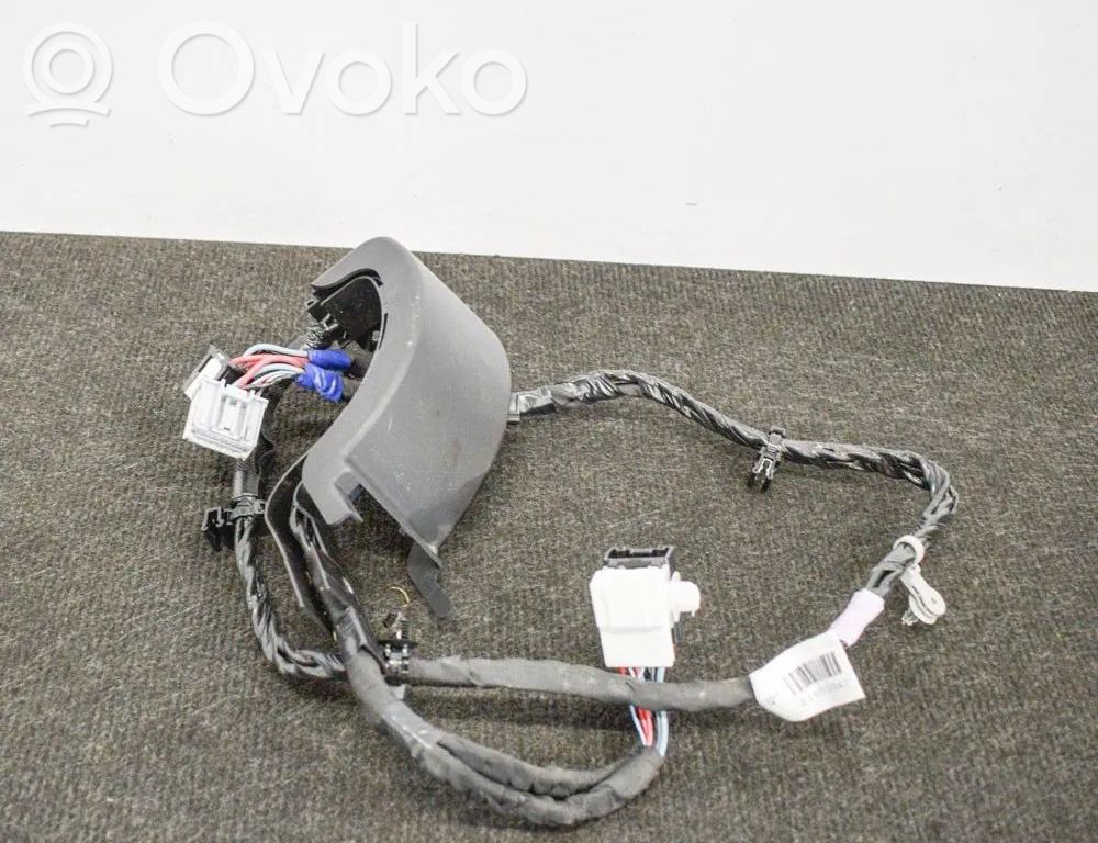 Tesla Model X Cableado de puerta trasera 