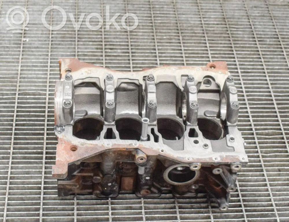 Dacia Sandero Engine block 