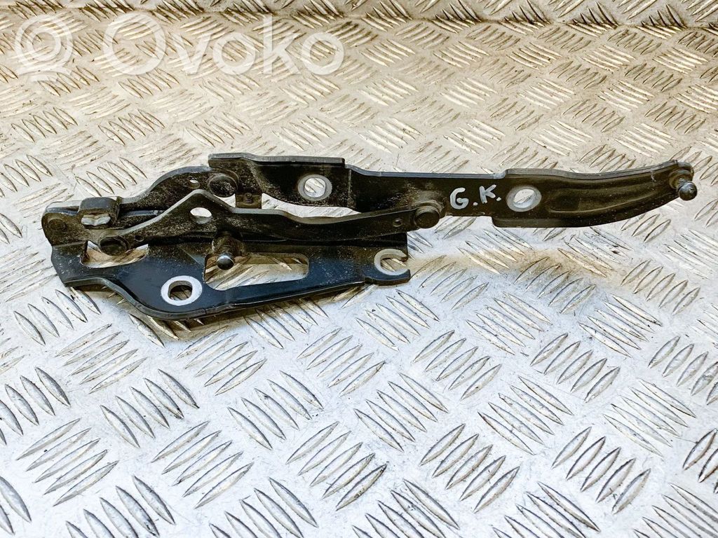 Tailgate/trunk/boot hinge   7166751