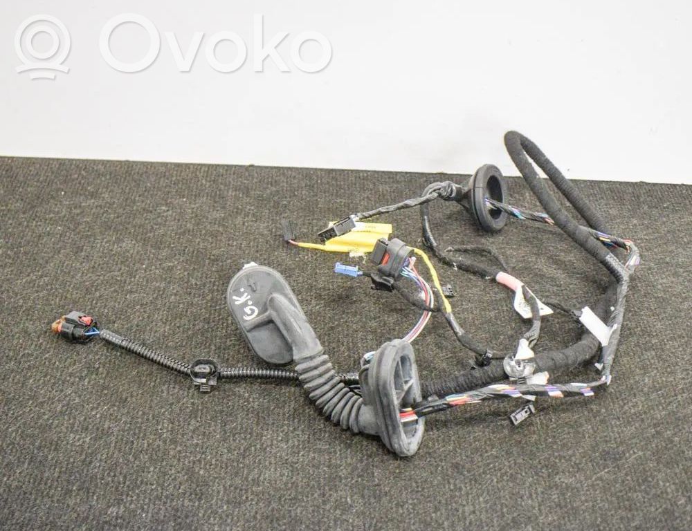 Tesla Model 3 Cableado de puerta trasera 