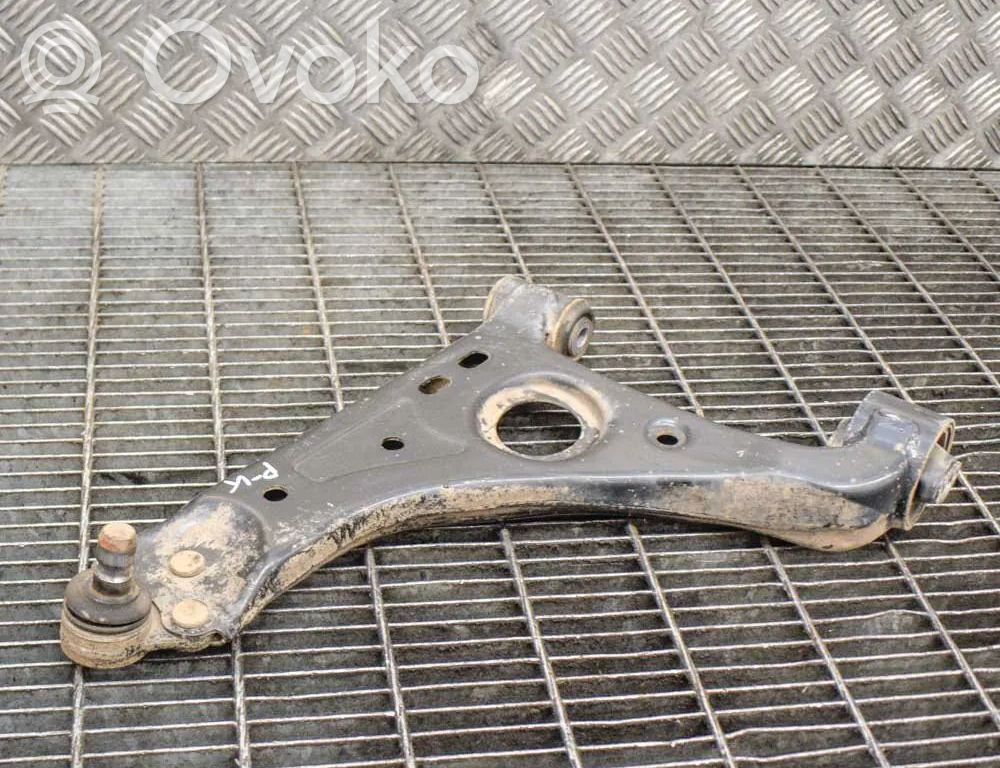 Dakša   DG13F1307