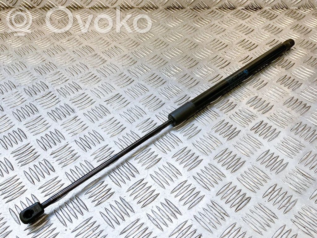Tailgate/trunk strut/damper   2990136