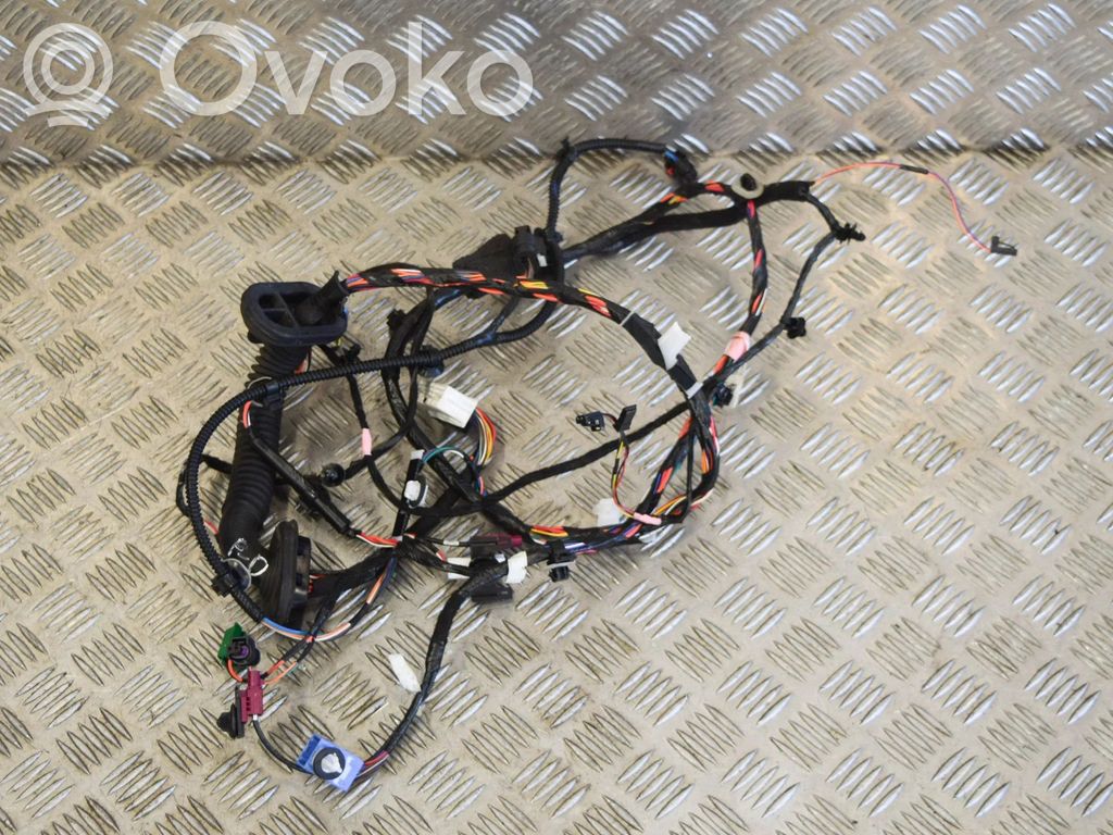 Cableado de puerta delantera   106796300D