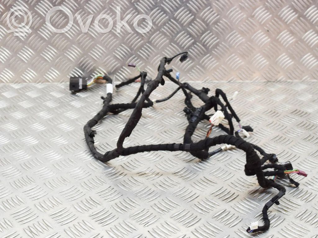 BMW X5 G05 Cableado de puerta delantera 