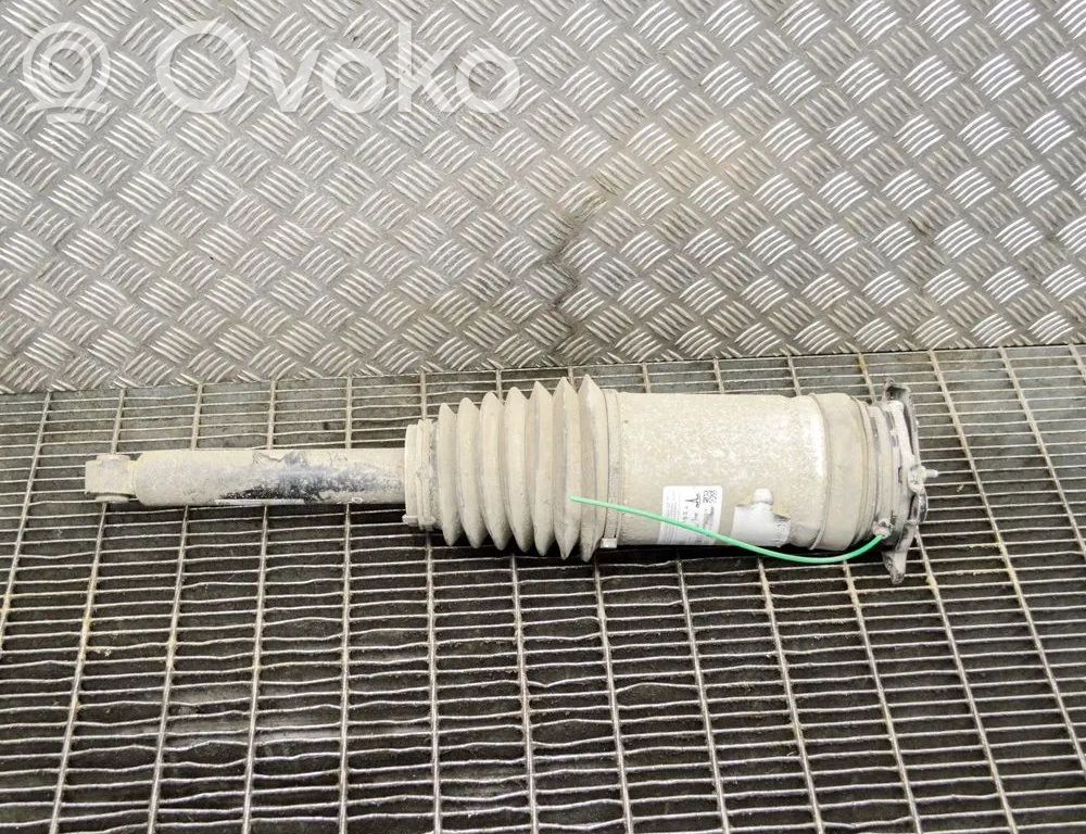 Tesla Model S Stoßdämpfer hinten 