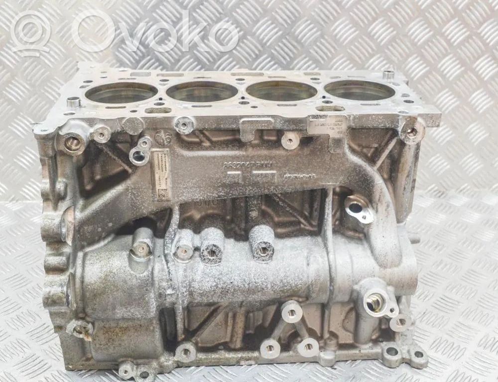 BMW X1 F48 F49 Blocco motore 