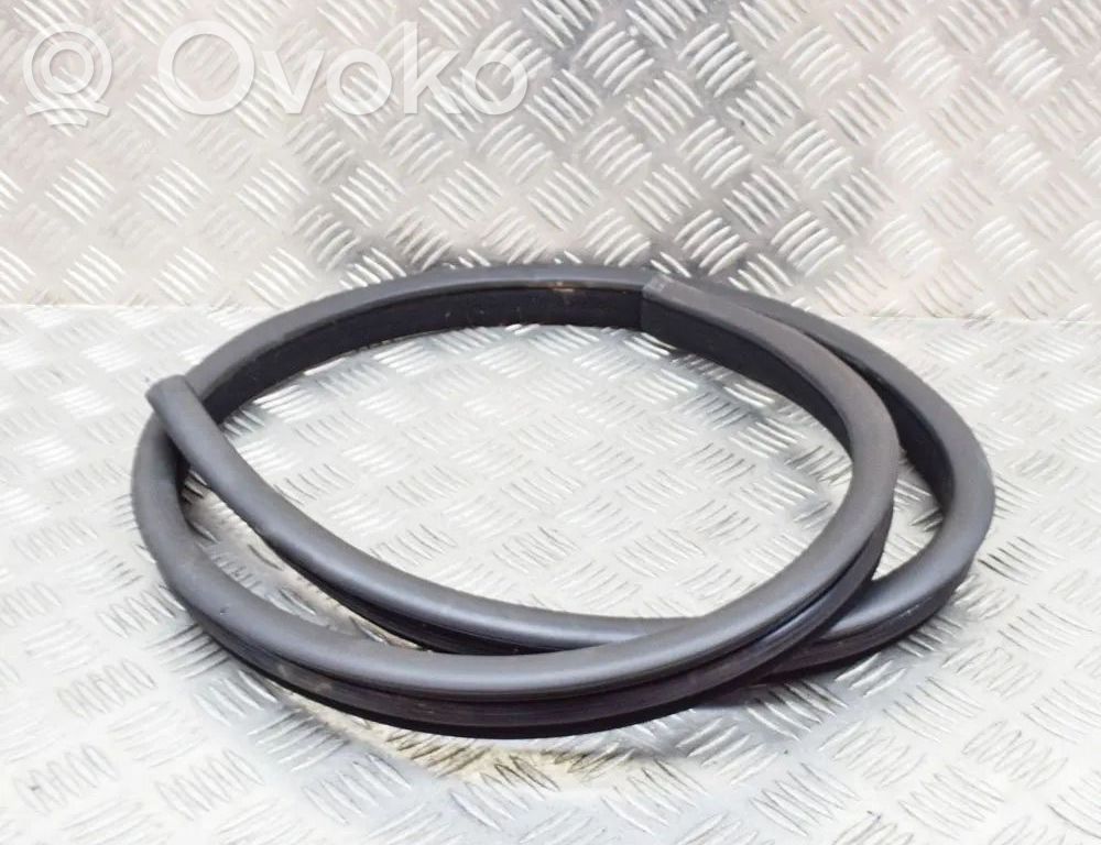 Uszczelka drzwi   A2076920376