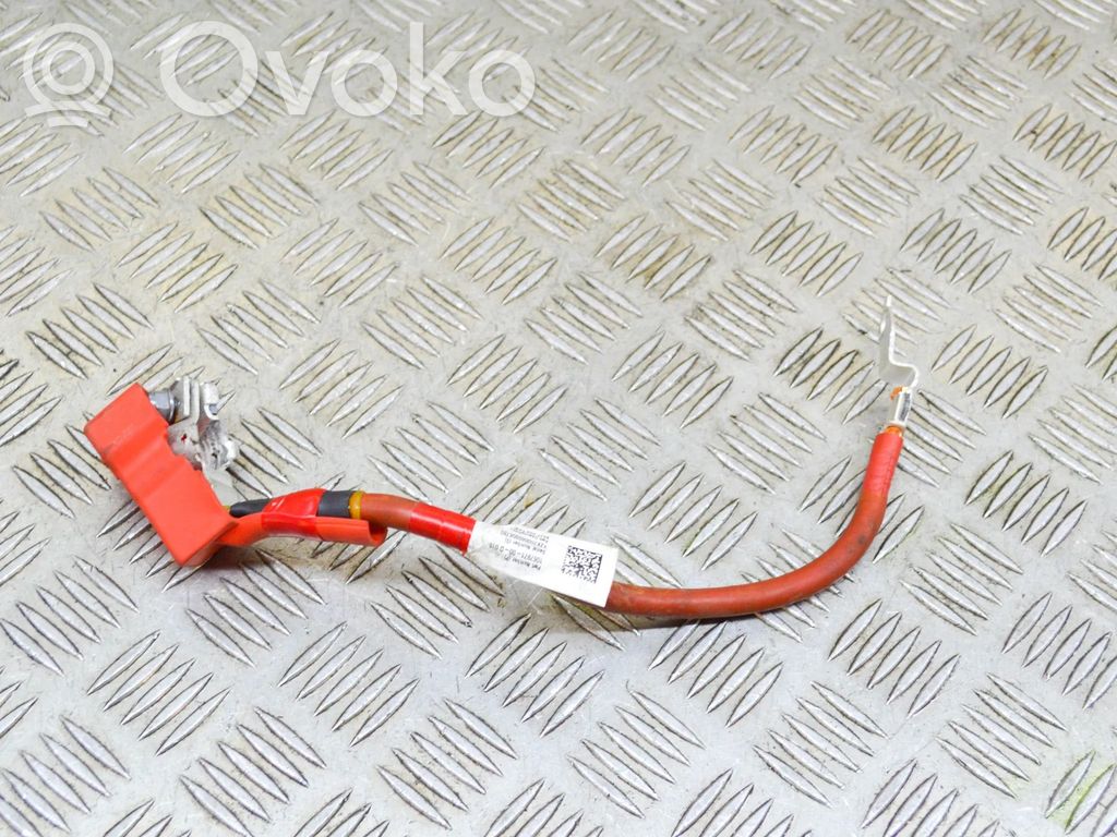 Positive cable (battery)   106797100D