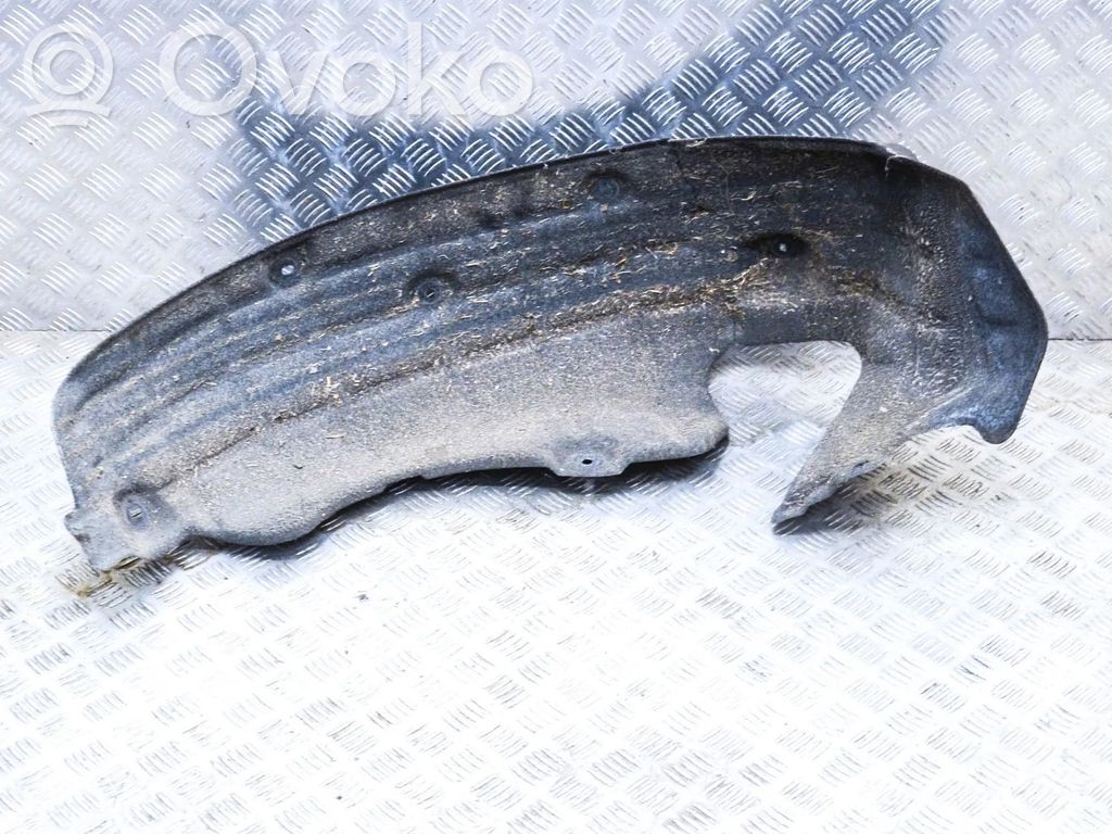 Posparnis galinis