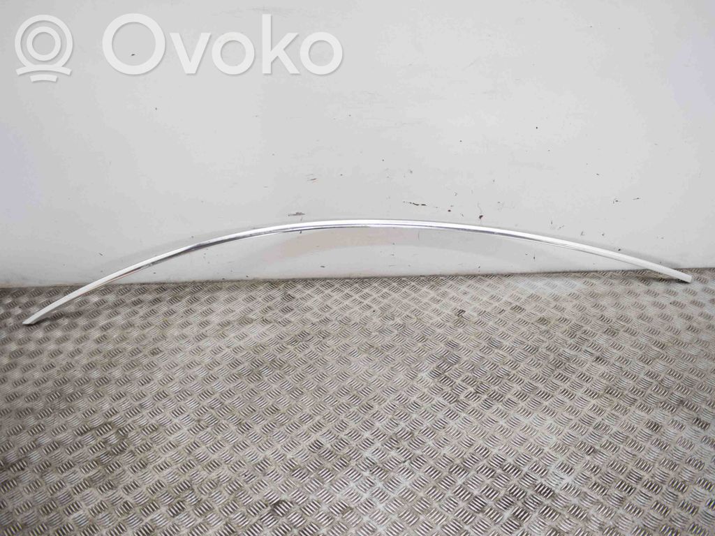 Tesla Model 3 Dachzierleiste 