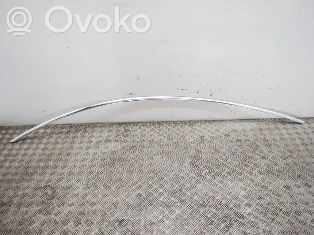 Tesla Model 3 Katon muotolistan suoja