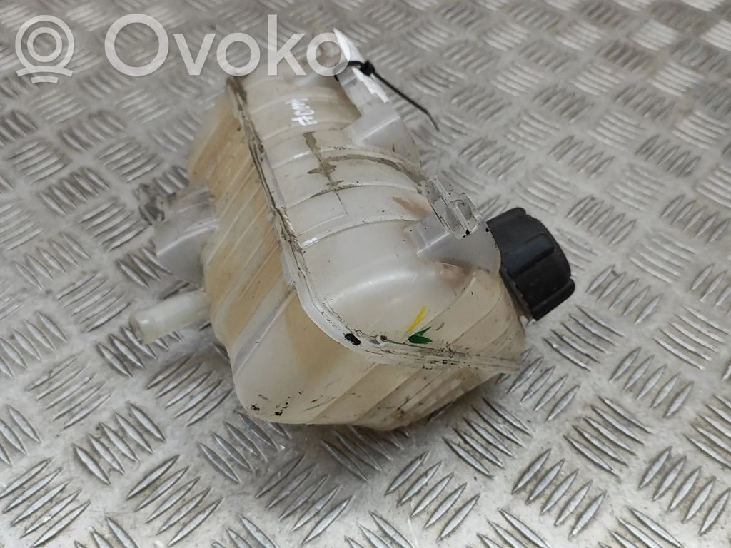 Renault Kangoo II Vas expansiune/rezervor lichid de răcire