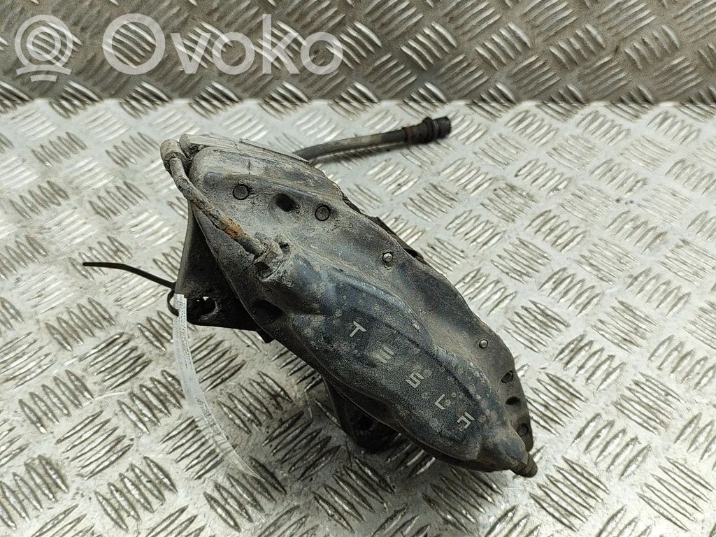 Takajarrusatula   100788900B