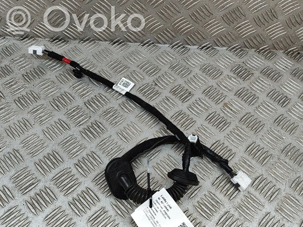 KIA EV6 Arnés de cableado de la puerta trasera/maletero 