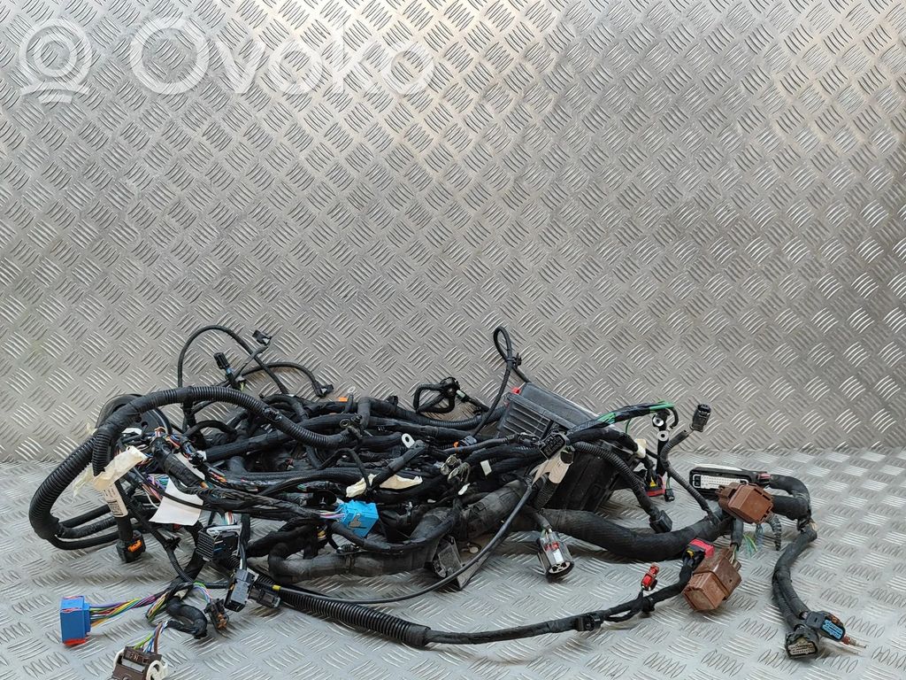 Citroen C4 II Cableado de instalación del motor 