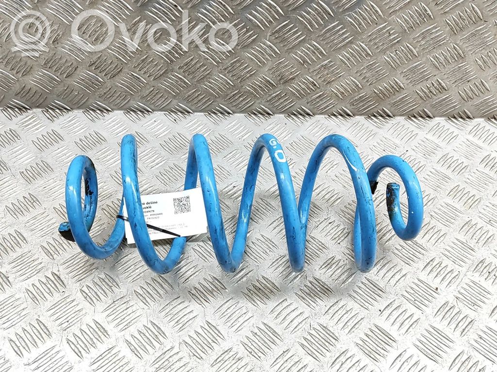 Rear coil spring   S311172