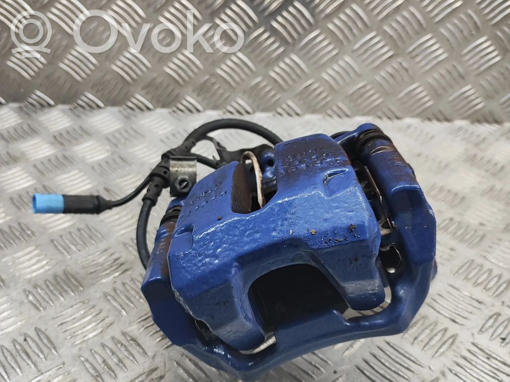 Takajarrusatula   6881296