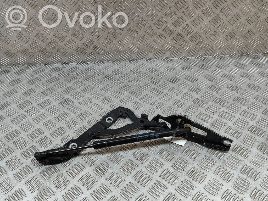BMW 2 F22 F23 Cerniera portellone posteriore/bagagliaio 