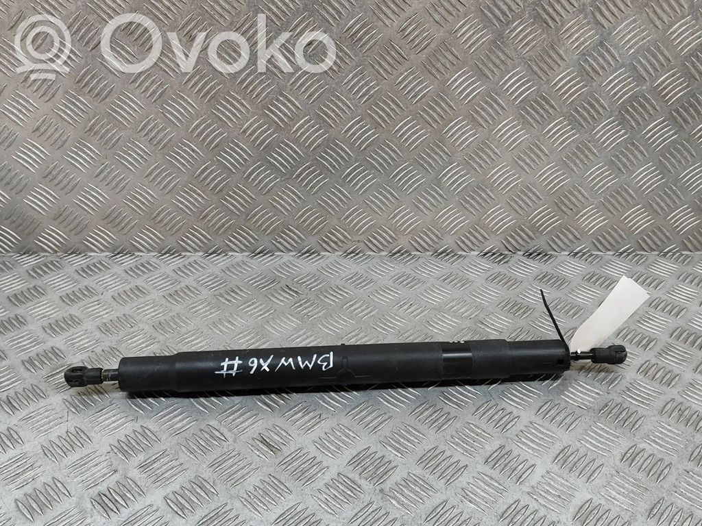BMW X6 E71 Tailgate/trunk strut/damper 