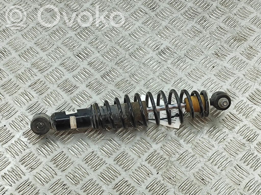 Stoßdämpfer hinten   5P003