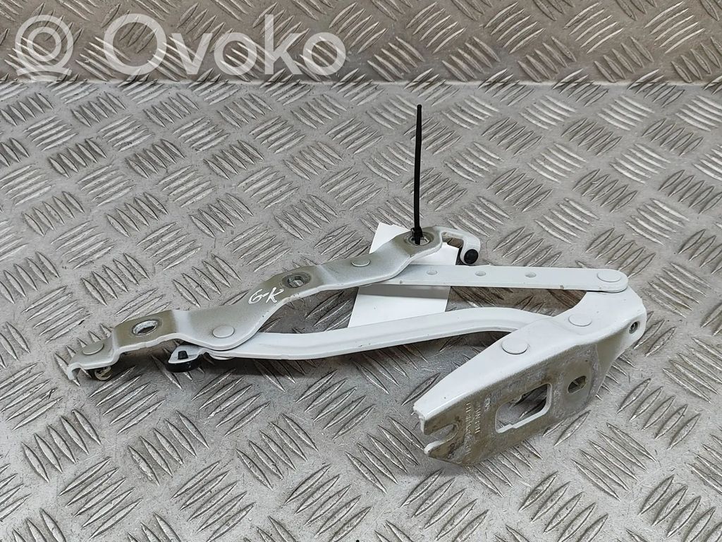 Aizmugurējā pārsega eņģe (-ess)   8F0827301B