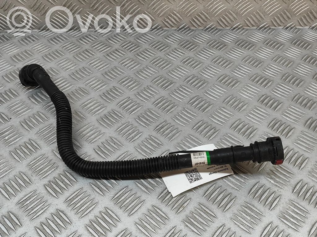Hyundai Kona II Variklio aušinimo vamzdelis (-ai)/ žarna (-os)