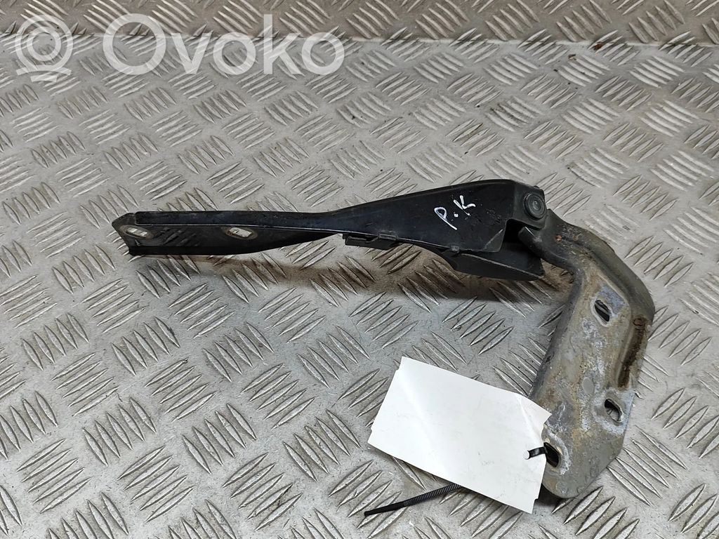 Porsche Cayenne (92A) Balamale capotă 
