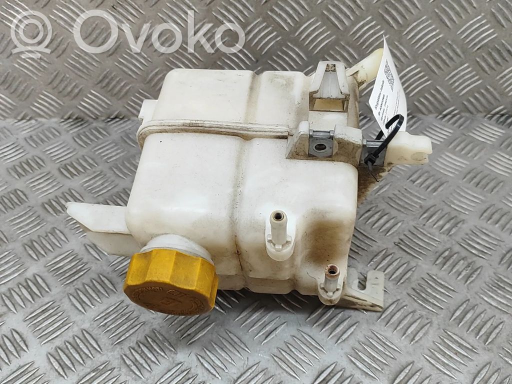 Chevrolet Captiva Serbatoio di compensazione del liquido refrigerante/vaschetta 