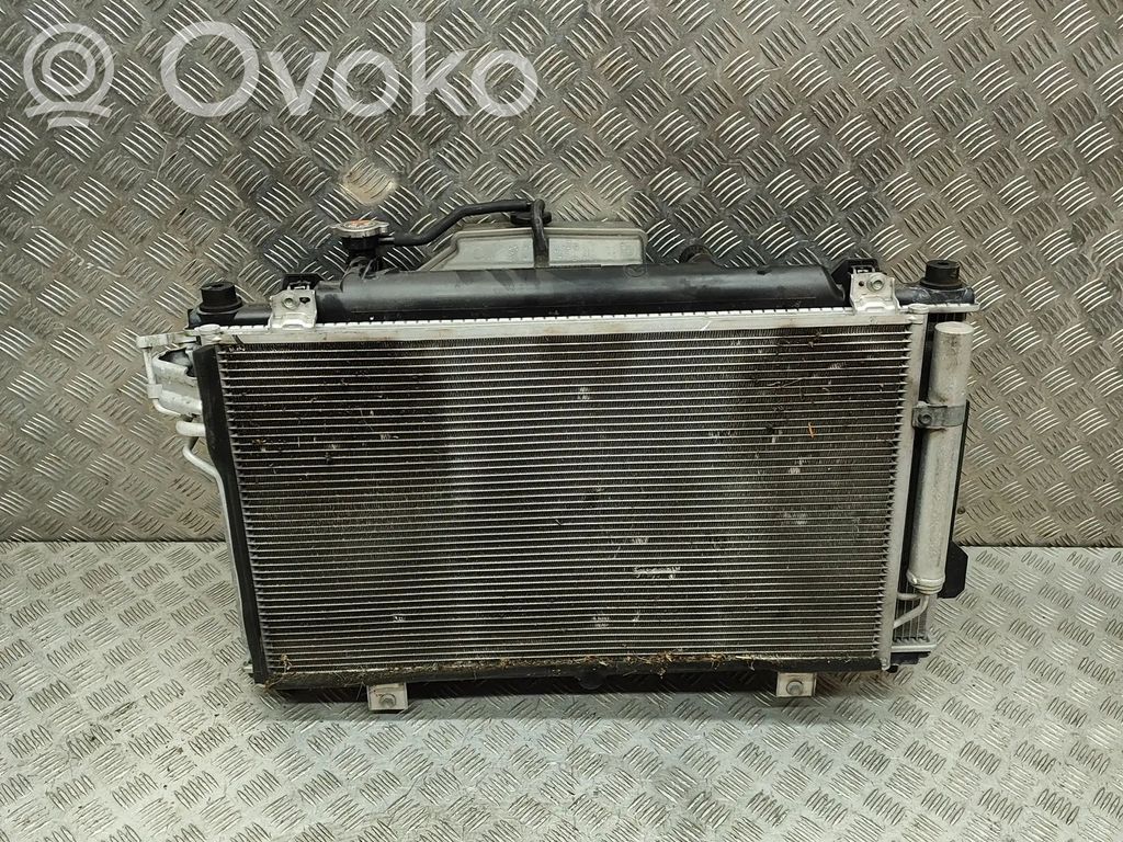 Radiator set   GHP9F,PE1115200B,8397005,PE1115210