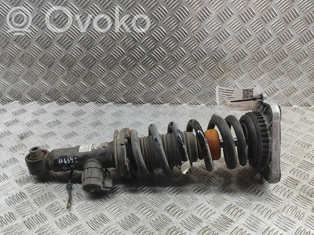 BMW X5 G05 Stoßdämpfer hinten